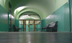Dni otwarte w ZSP Ziębice. Zapoznaj się z ofertą placówki i weź udział w warsztatach