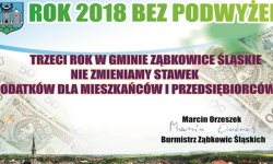 Rok 2018 bez podwyżek