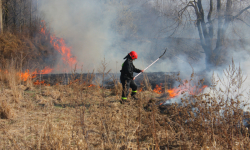 Kłodzkie łąki stanęły w ogniu [foto, wideo]