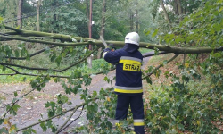 W nocy mocno powiało. Uszkodzone linie energetyczne, połamane drzewa