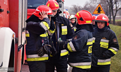 Wyciągali psa i pomagali złapać źrebię. Nietypowe interwencje strażaków