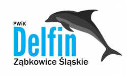 PWiK „Delfin” Sp. z o.o. szuka wykonawcy do przeprowadzenia przeglądów okresowych