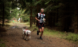 Finał Pucharu Polski w Dogtrekkingu