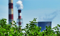 W walce o czyste powietrze