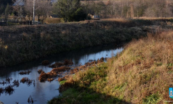 Czyścili potoki i rowy oraz usuwali tamy bobrowe w Olbrachcicach Wielkich i Strąkowej