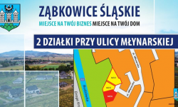 Działki przy ul. Młynarskiej w Ząbkowicach Śląskich wciąż na sprzedaż