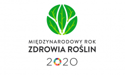 Komunikat WIORiN dot. obchodów Międzynarodowego Roku Zdrowia Roślin