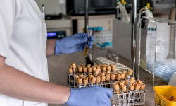 Kolejne zakażenia koronawirusem na terenie powiatu ząbkowickiego - 23.04, godz. 9.30