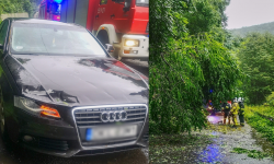 Konar drzewa znów runął na przejeżdżający samochód. Tym razem na drodze krajowej 