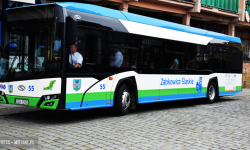 Wypełnij ankietę i pomóż ulepszyć Ząbkowicką Komunikację Publiczną