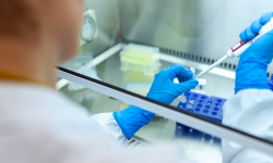 Aktualne informacje z terenu powiatu ząbkowickiego dotyczące koronawirusa - 13.01, godz. 10