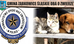 Gmina wsparła Towarzystwo Opieki nad Zwierzętami w Ząbkowicach Śląskich