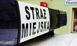 Jest praca w ziębickiej straży miejskiej. Dokumenty można składać do 30 sierpnia