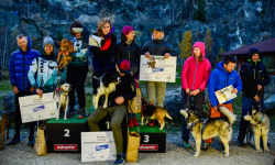 Puchar Polski w Dogtrekkingu w Złotym Stoku [foto]