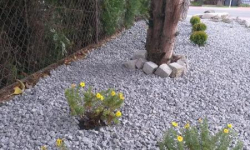 Akcja „Zielona Gmina” w Ząbkowicach Śląskich i Stolcu