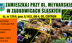 Zamieszkaj przy ul. Młynarskiej w Ząbkowicach Śląskich. Gmina ogłosiła kolejny przetarg