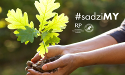 Czwarta edycja akcji #sadziMY. Nadleśnictwa rozdają sadzonki drzew