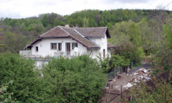 Wizja lokalna u Violetty Villas