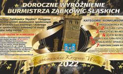 Startują zgłoszenia do Ząbkowickich Krzywych Wież za 2022 rok