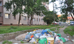 Śmieciowisko na XX-lecia 
