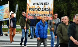 „Władza i ich polityka zarzyna polskiego rolnika.” Protest na krajowej ósemce [video] [foto]