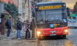 Od poniedziałku nowe linie Ziębickiej Komunikacji Autobusowej. Mamy rozkłady jazdy