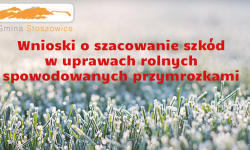 Szkody w uprawach rolnych. Gmina informuje o możliwości składania wniosków o oszacowanie szkód