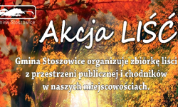 Akcja „LIŚĆ” w naszej gminie