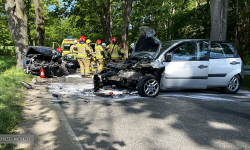 Śmiertelny wypadek między Złotym Stokiem a Lądkiem-Zdrój. Droga zablokowana [foto] [aktualizacja] 