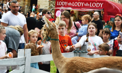 Bajkowy Dzień Dziecka w Ząbkowicach Śląskich [foto]