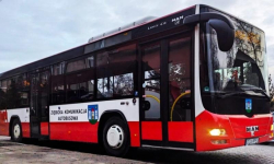 Ziębicka Komunikacja Autobusowa – podsumowanie pierwszego roku działalności w liczbach