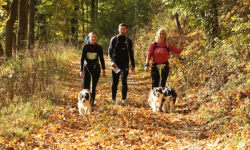 Już niebawem Finał Pucharu Polski w Dogtrekkingu