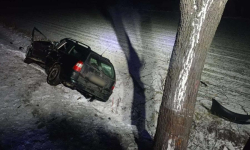 26-latka zjechała z drogi i uderzyła w drzewo. Auto zatrzymało się w rowie