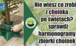 Poświąteczna zbiórka choinek w Ząbkowicach Śląskich i sołectwach. Sprawdź szczegóły
