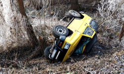 Dachowanie między Ząbkowicami Śląskimi a Stolcem [foto]