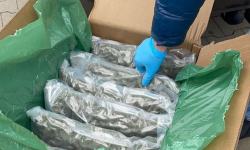 Ząbkowiccy policjanci przechwycili 59 kg marihuany. 32-latek trafił do aresztu [video]