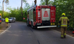 Motocyklista uderzył w drzewo na trasie Złoty Stok – Orłowiec. Jedna osoba poszkodowana