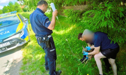 Nietypowa interwencja policji. Strażacy pomagali sarnie znalezionej przy drodze