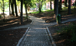 Park przy „Delfinie” nabiera wyglądu 