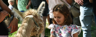 Kolorowa Parada Bajek i moc atrakcji. Tak świętowano Dzień Dziecka w Ząbkowicach Śląskich [foto]