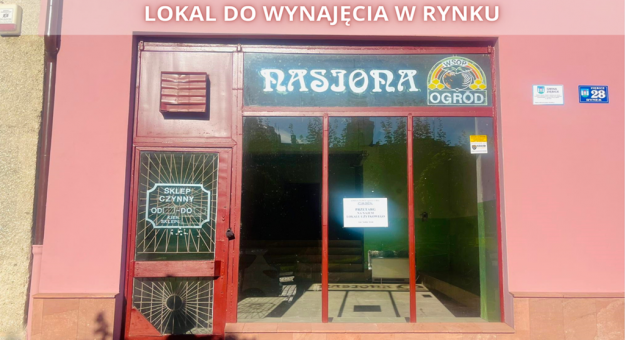 Do wynajęcia lokal użytkowy w centrum Ziębic