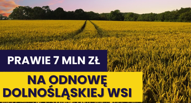 grafika ilustracyjna