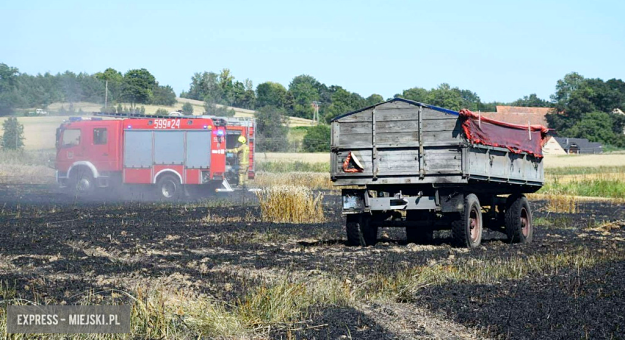 Pożar ścierniska w Sosnowej. Interweniowało kilka jednostek straży pożarnej