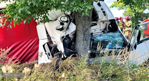 Samochód ciężarowy zjechał z drogi i uderzył w drzewo