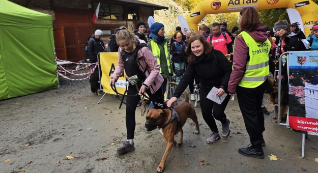 Finał Pucharu Polski w Dogtrekkingu ponownie w Złotym Stoku i Górach Złotych. Znamy wyniki