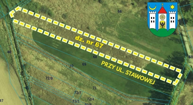 grafika ilustracyjna