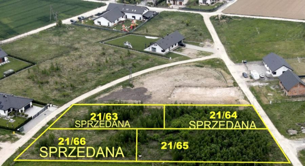 grafika ilustracyjna