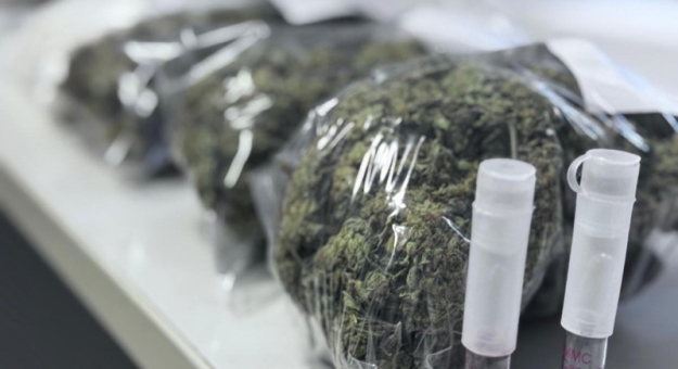 Amfetaminę chował w zamrażarce, a marihuanę w pralce. 30-latek trafił do tymczasowego aresztu