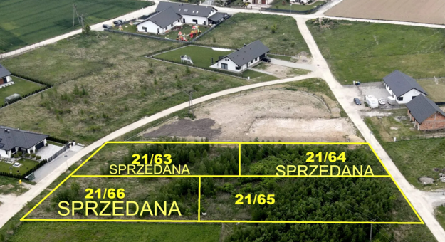 grafika ilustracyjna