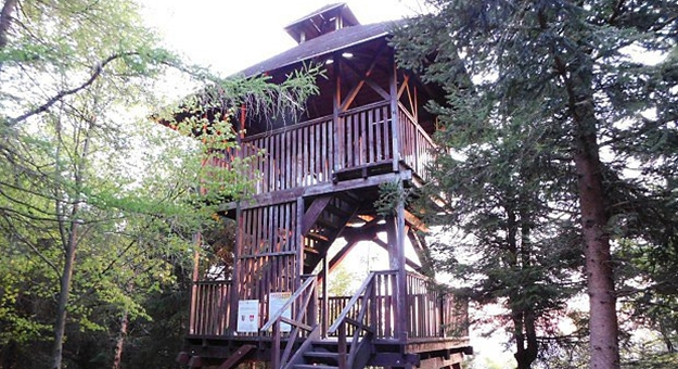 Aktualnie na Jaworniku znajduje się drewniana wieża widokowa. Jej wysokość wynosi około 10 metrów. Została wzniesiona w 2008 roku. Nowa budowla ma być ponad dwa razy wyższa, a jej konstrukcja bardziej trwała